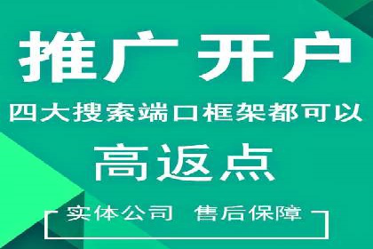 案例解读：网络推广与竞价策略